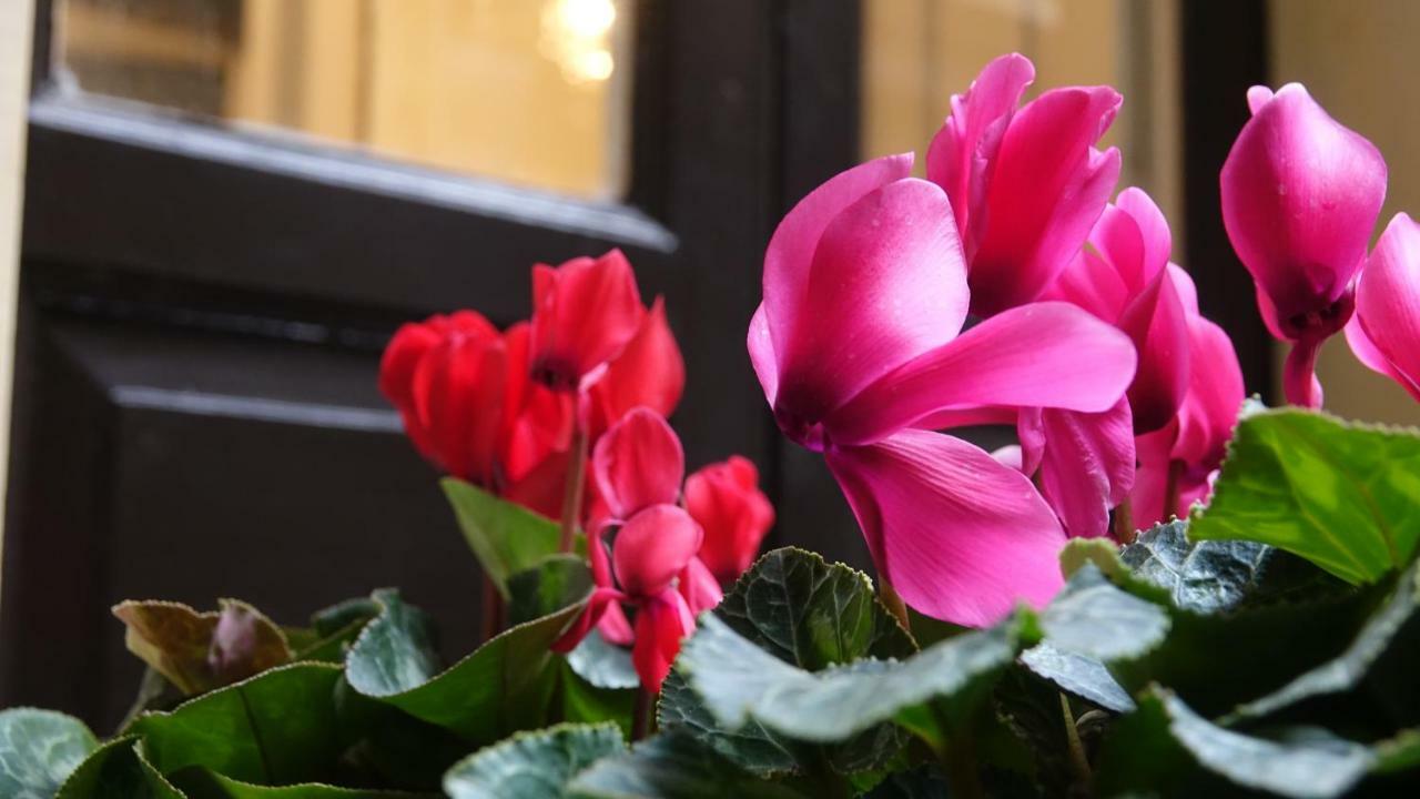 Bed and Breakfast House Vintage Catania Esterno foto